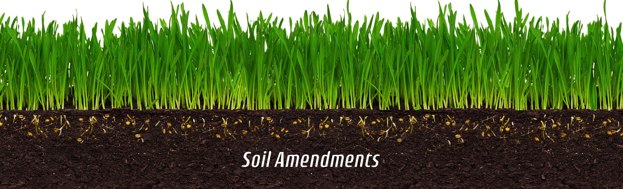 Best Organic Soil Amendments Pureganix What is a Soil Amendment?