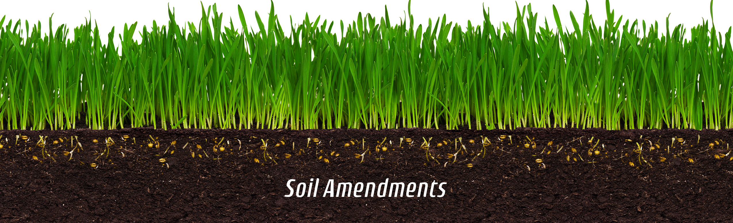 Best Organic Soil Amendments | What is a Soil Amendment?