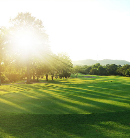 Golf Course at Sunset