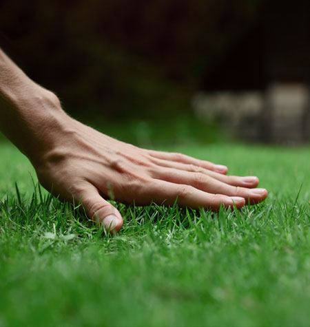 Hand on Grass